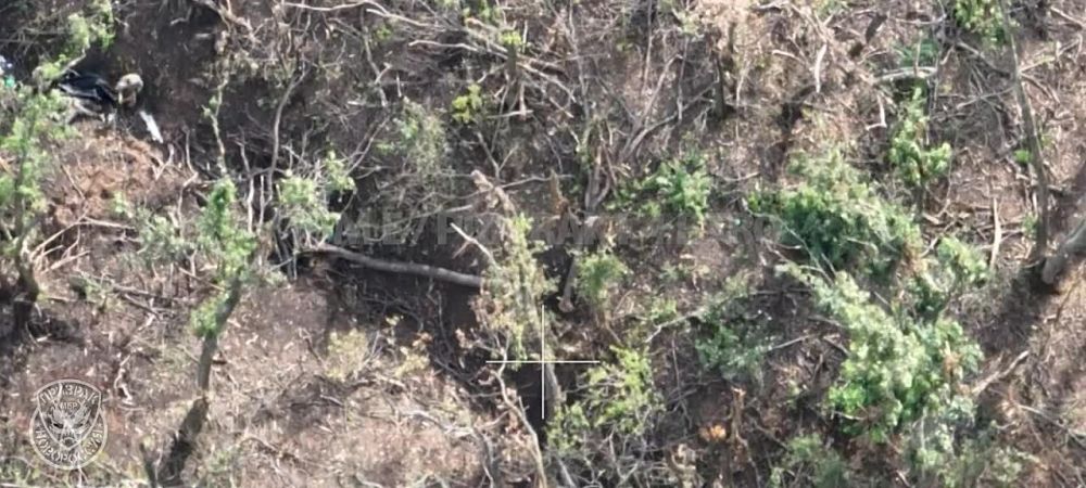 ����� � ���������: ����� ��������� ������� ������� ��� ����� ��� � �����������