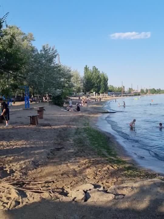 ������ �������: ���� � ���������. ���� 2023 ����