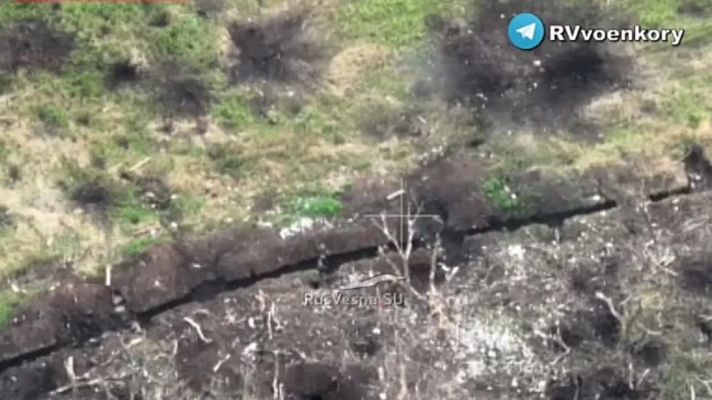 ������� �������: ���������� ������������� �������� �� ������� ���������� �������� �������� ������ � ����������