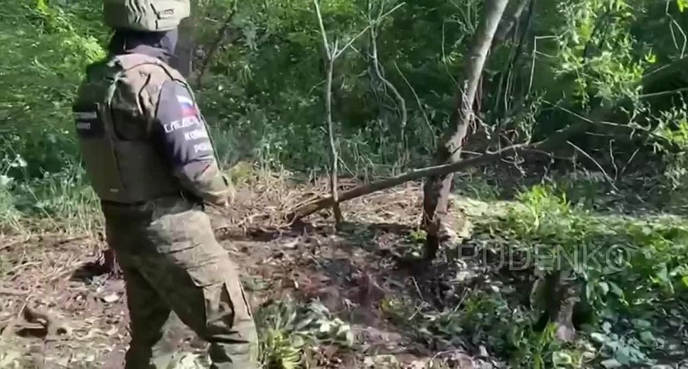 ������ �������: ����� � ��� � ���������� �������� �� ������� �������� ���� �������� ������ ������