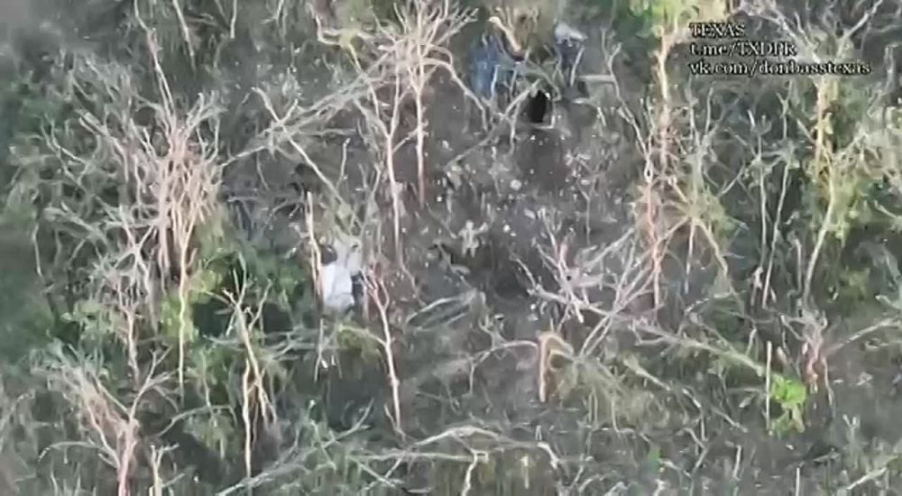 ������ ����������: ������� �������� ������ ������ �� ����