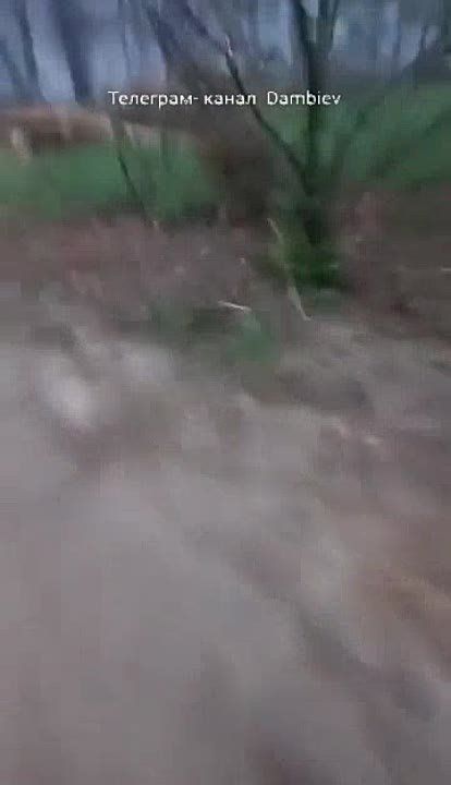 ������� ��� � ����� ��� ��������� ����� ��������