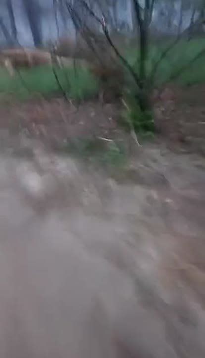 ���-�� ��� ��������� ��y��@�� �� ����� �� ��, �������� ���������� ������