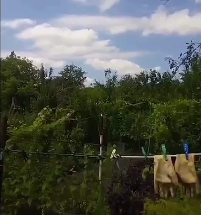 ������ ��������: ���-�� ����������, ��� ��������� ����������, ������������ �������, ������� �� ����� �������?