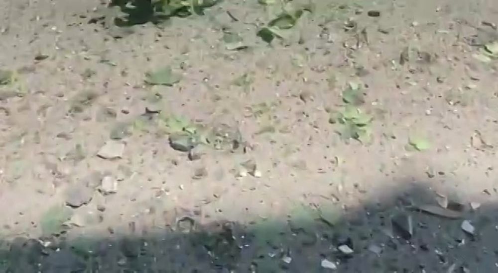 ���� �������: ����� �� ��������� ������ �������