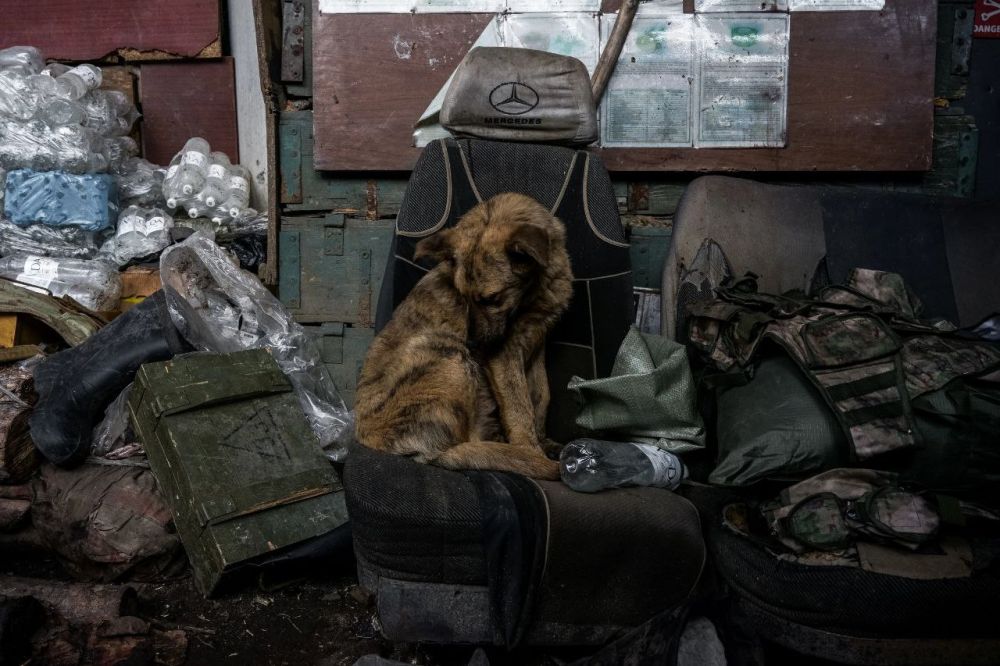 ����� ��������: ��� ������ ��������� � ����� �������� ���� �� �������� ��� �� 2017 ���� �������� � ������ ���������� ��������