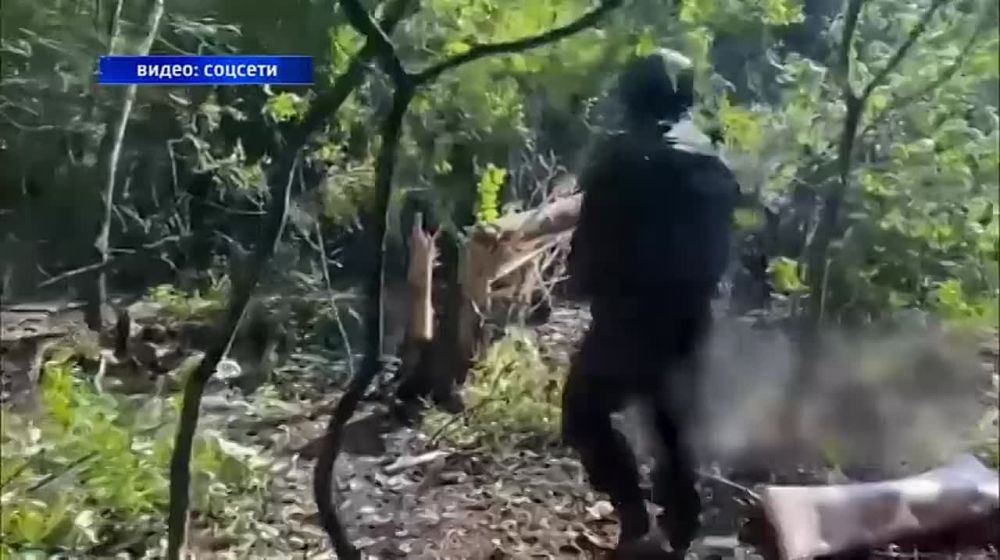 �� ������ ������ ������. ���������� ������ ����������� �� ��