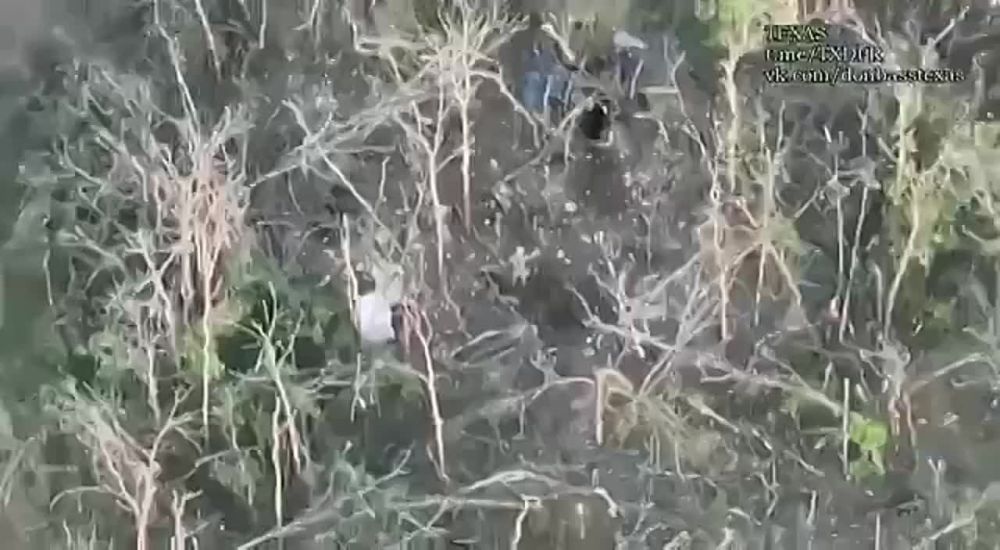 ������������� �������, ��������� ������ ������� � ����� �� ������� ���������, ������� �������� ������� ���, ��������� ��������