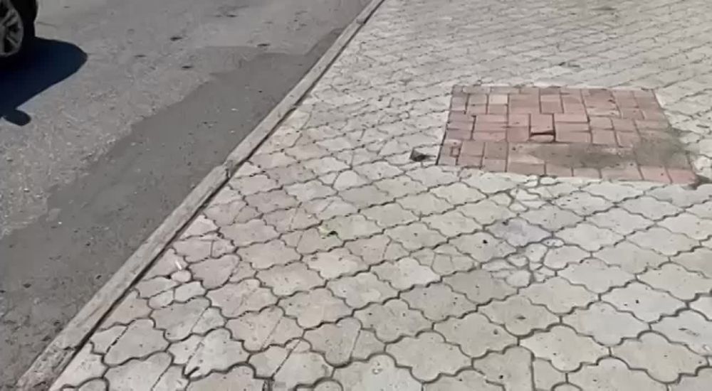 ��� ���������� �� ���������� � ���� ����� ������ �������
