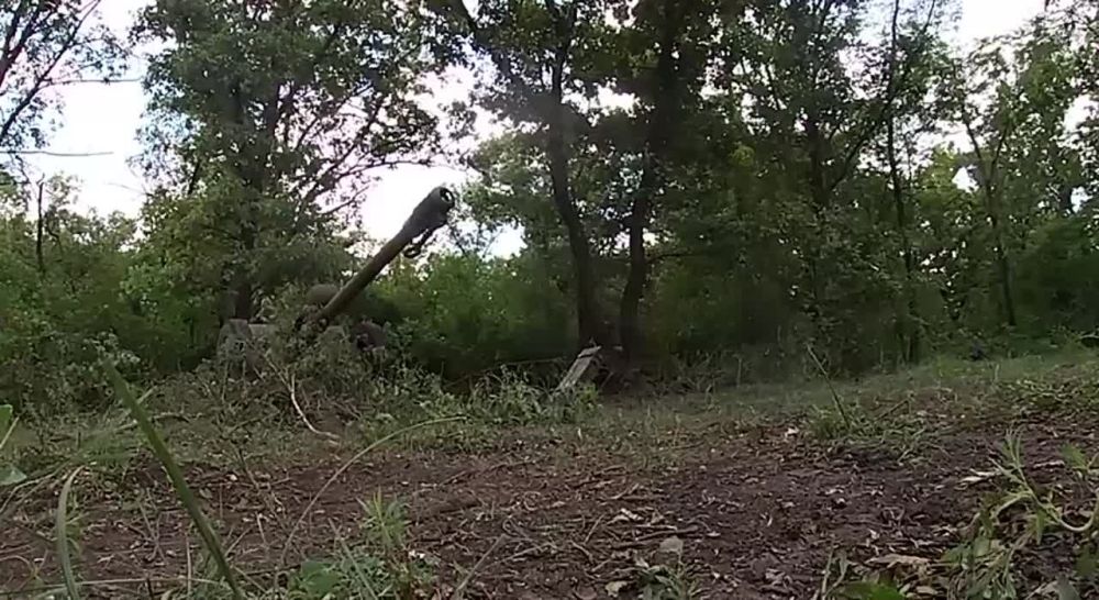 ������� ������ �������� ���������� �������� ��� ���������