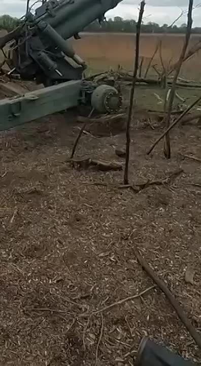 ���� ��������������� ������ ������� �����