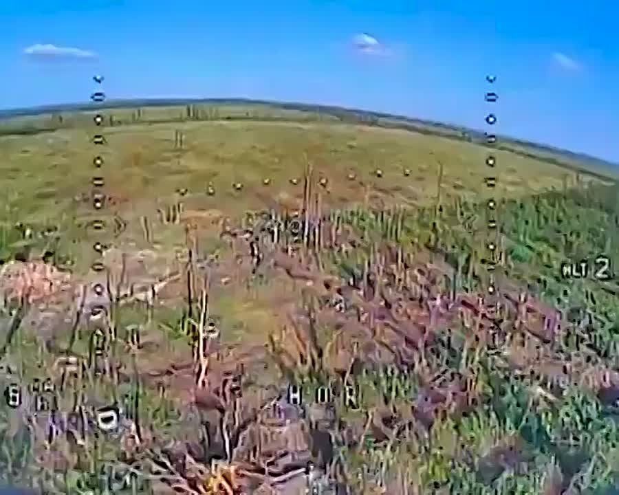 ������ ��������� ����������� FPV-����� �� ����������� � ���� �����