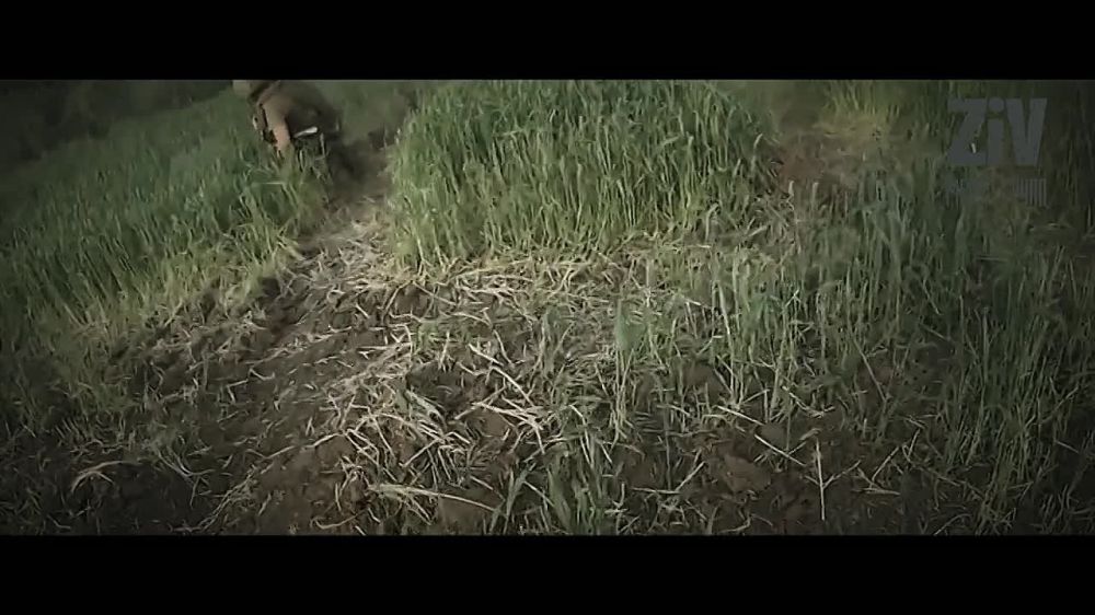 ����� ������ �� ��������� ���������..