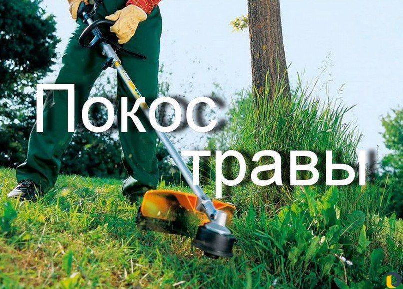 ������ ���������� ����� �� ������ ������ � ����������� ����