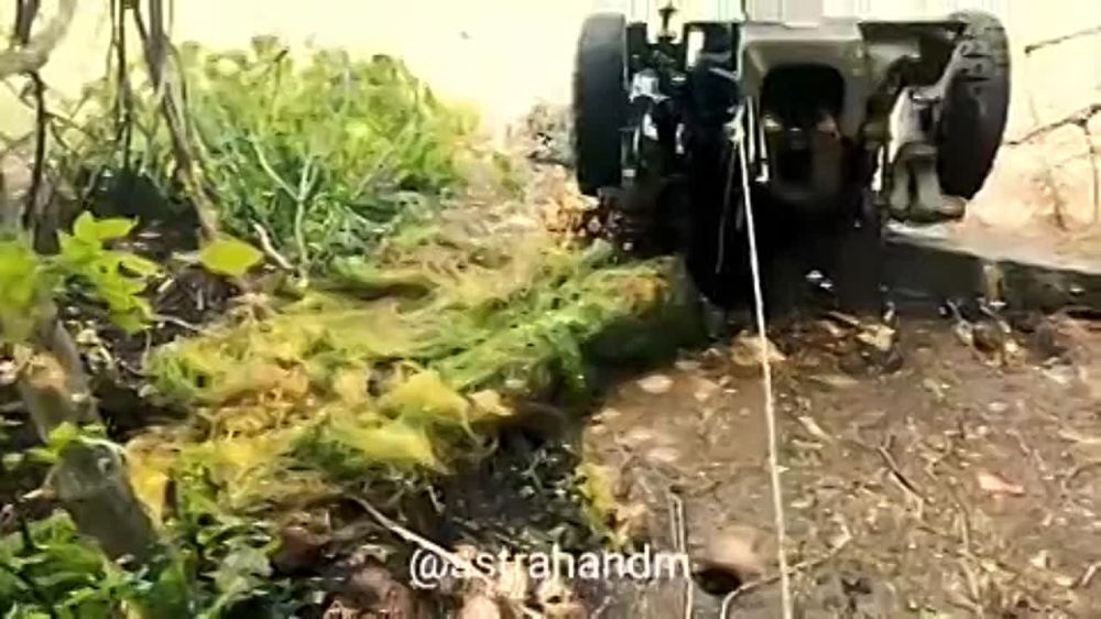 ������� ���������: ������� ���� ������ ���������� ������ 33 ��������������� ����� 20 ����������� �������������� ������� � ������ �������� ������� �� ���������� �����������