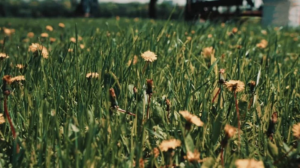 �������� ����� ������� ������������ ����� ������