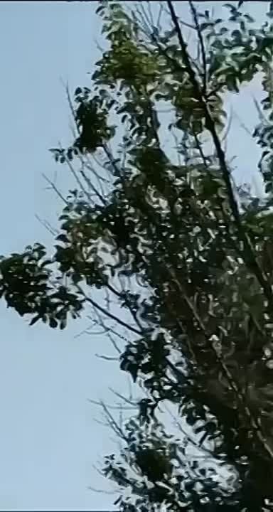 �������� ��������� ��������, ��� ������ ��������� �������� ������ �� �� ����� ��������� ��������� ������ ����, ���������� ����� � ��������� ��������
