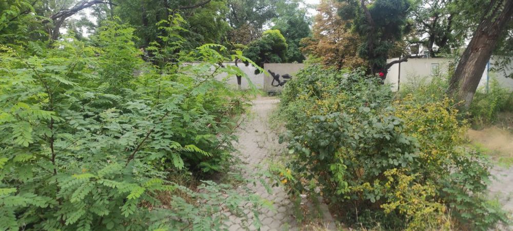 �� ��� ������ �������� ����� ���������� �������� ������������� ��������� � ����������� �������� ����� , ����������� �...