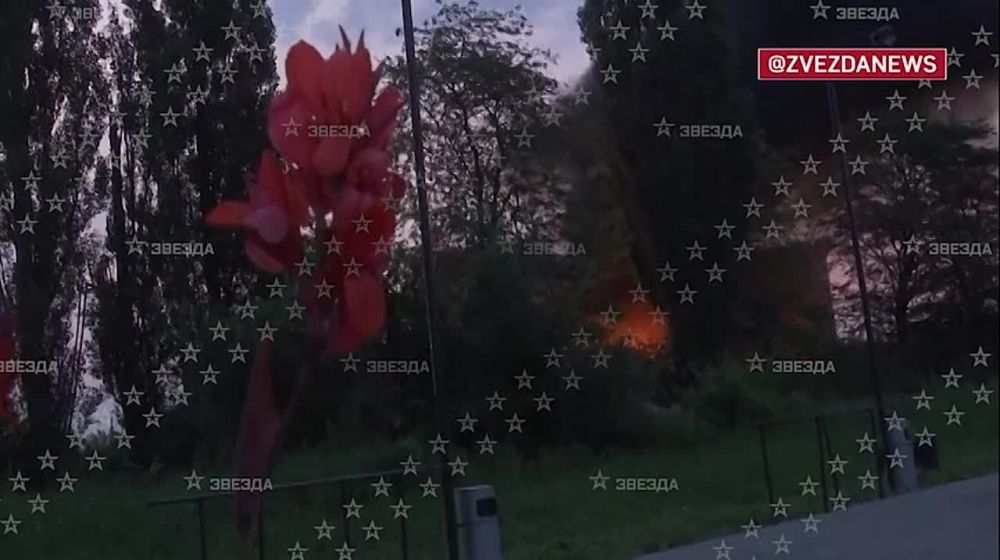 �������� ������ �������� ������� ��������� � ��������� � ���