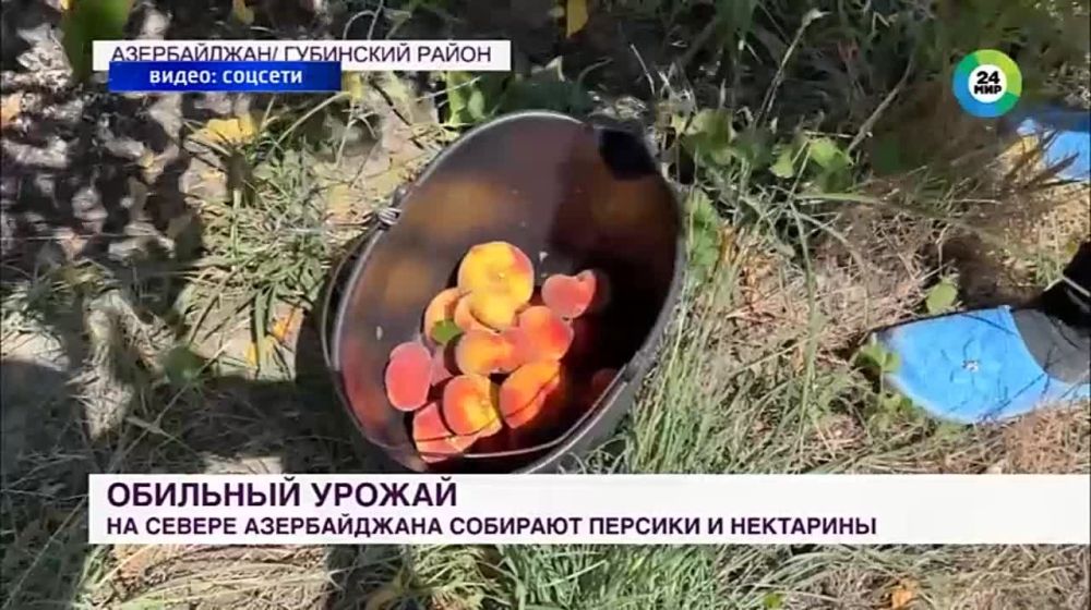 ������� �������������. 28.07.2023