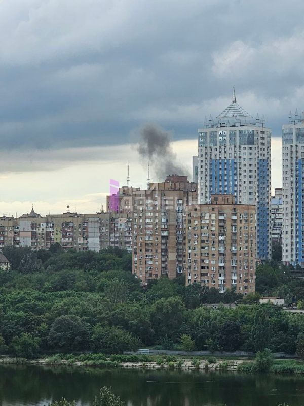 ���� ��������: ������������� ��������, �������� ������������ - ������