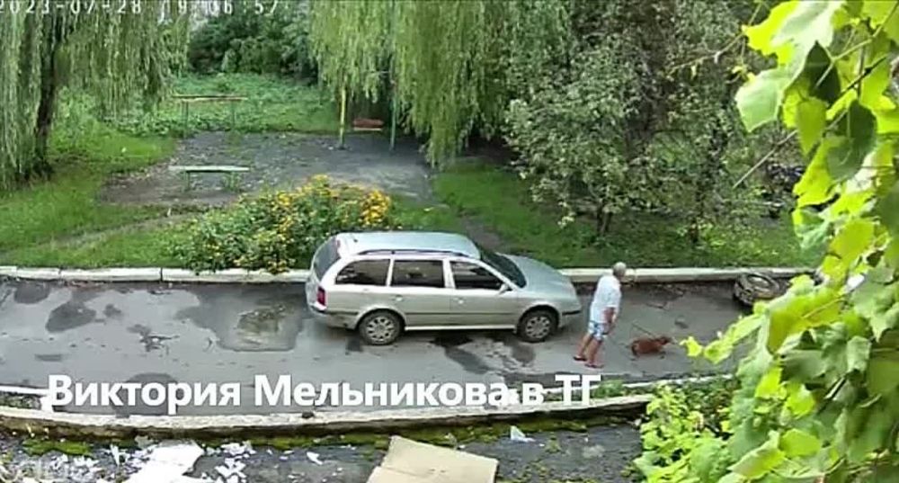 ���������� �����������: ������ �������� (���), ������� ���� ������ ����������� �������, � ������������ ����� ��������� �������� � �������