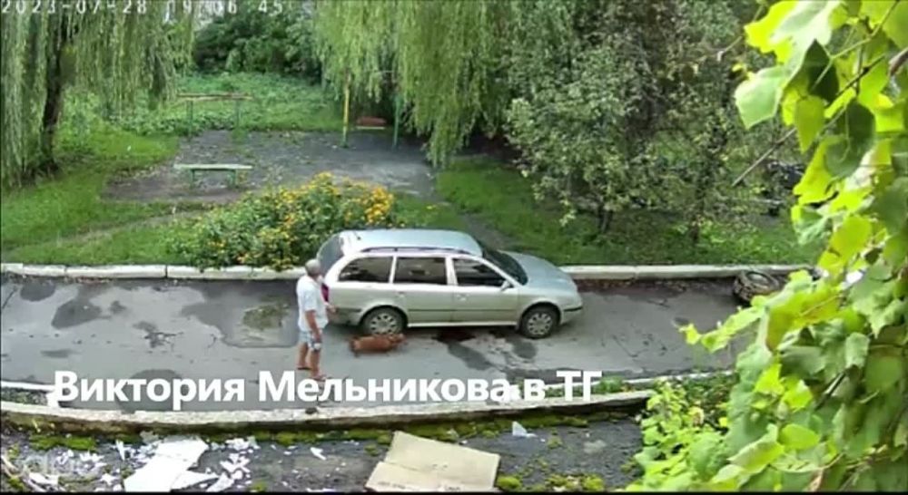 �������� ����������: ���� ������� � ��������, ��������