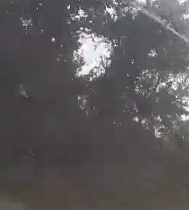 "�������� ���� ������������" ������� ����������� �������