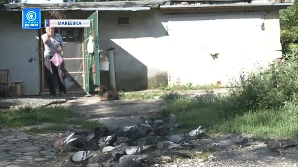 �������������� �����! � �������� ��������� ����� 10 ��� ������� �����