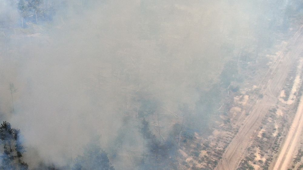 ��� ����� �� �����, � ������� ���� �� ���������: ����� ������ �� ���������