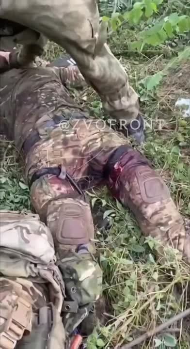 ������ � ������ � ���� ���������� �������������� � �������� � ����������� �������