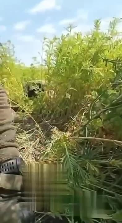 ������� ����� ����������� ������ ������ ������� ���������� ����� � �������� ����������� ����������