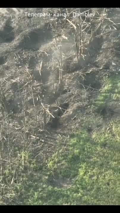 ������ �������: ������ ���������� ��� ������ �� �������� ���������� ������������ � ���������� ��� �����������