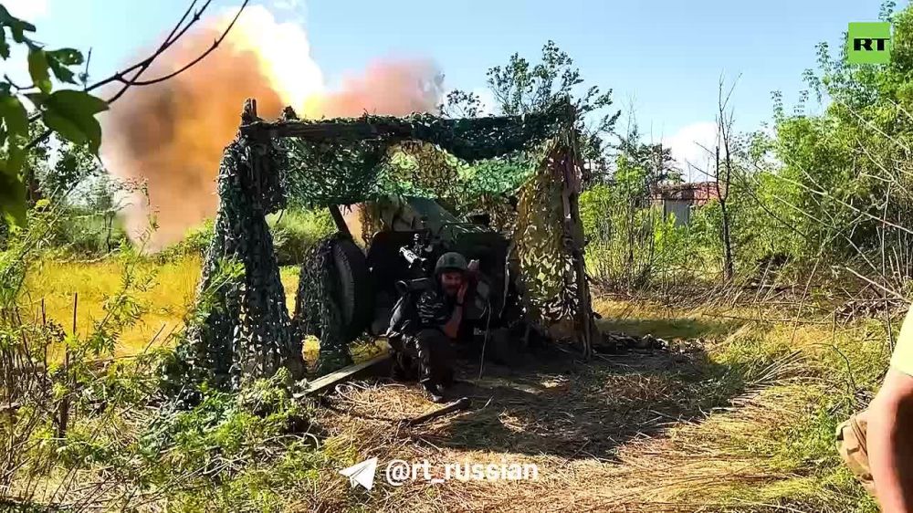 �������� ����, ������ ��� � �� ������ ���������� ������� � ����� ��������. �� ���� ���� ���������� 196 ��������