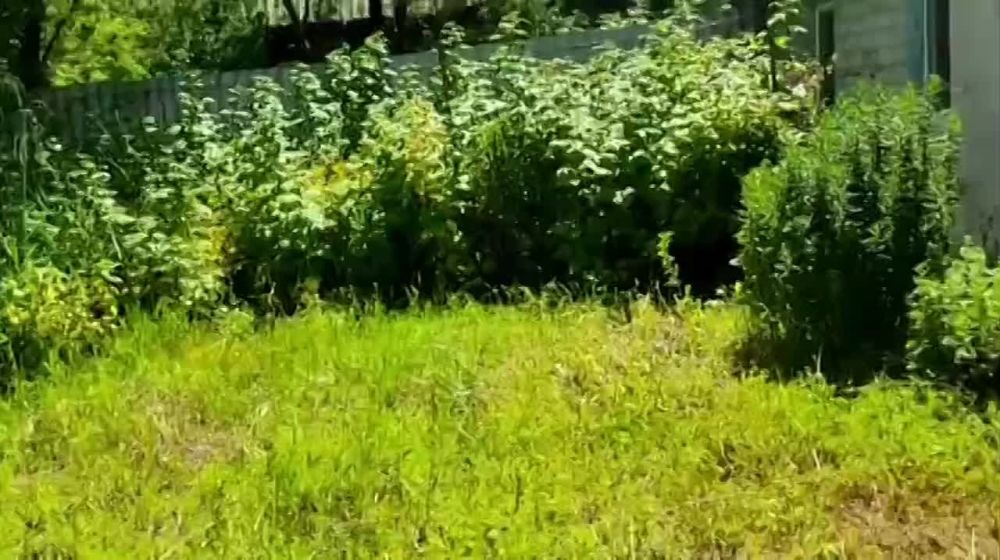 ���� ������ ���������� ��������� � ������ � 2014 ����