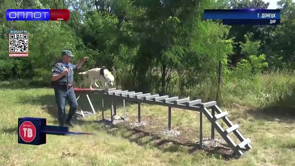 ���������� �����-���������� ��� ���. ��������� ������ ��� ���������� ������ ����������� �� ����� ��������