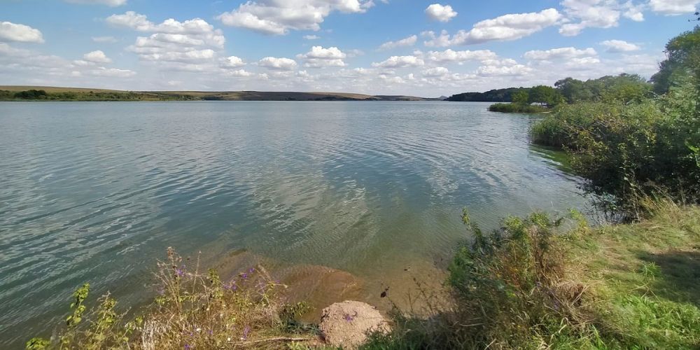 �������� ��� - ���������� �������������