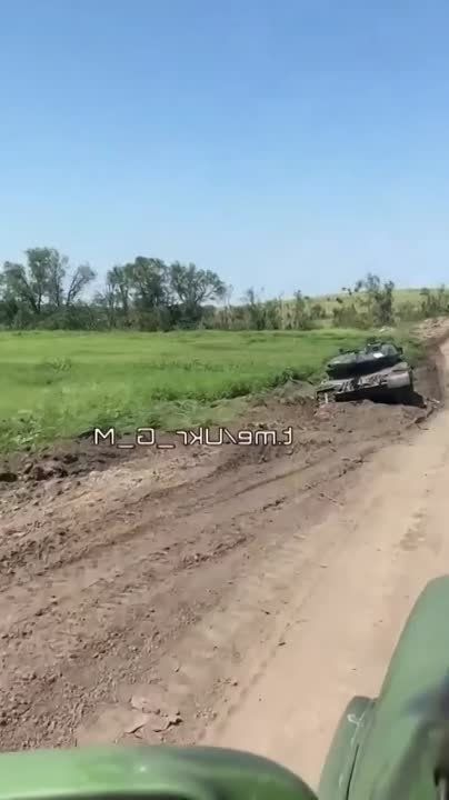 ����������� ����� � ������ � ���������� �� ����� ����������� "������������" ����������� ������� Leopard ������������ ��������