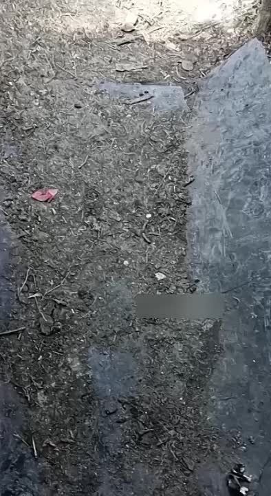 ���������� ������� ���������� ��������� ����� ���������� �������� � ������ ��������