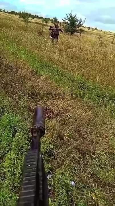 �������������� ��� ������� � ���� � ������ ��������������� �� ����-�������� �����������