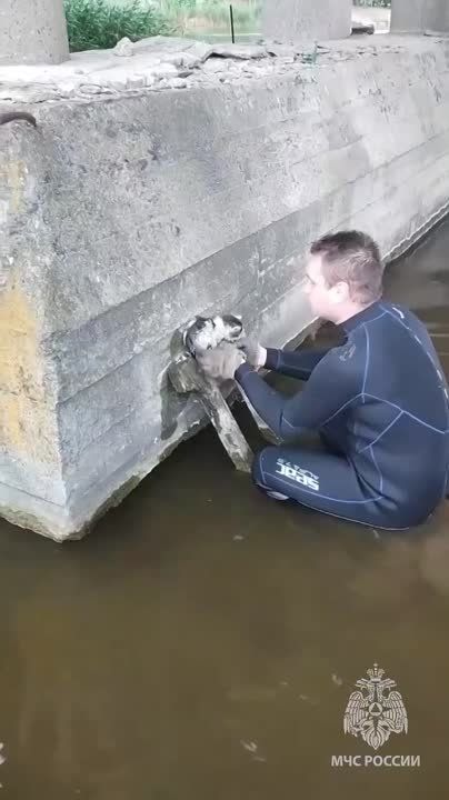 ��������� ������ ��������. ��������� ��� ������ ��������� ���� ���������� � ���� �����������: ���������� ������ - ���������