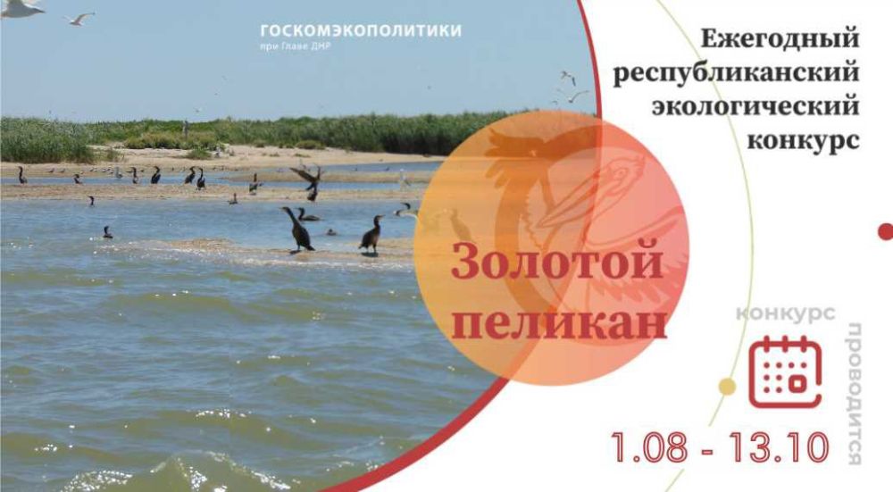 Наталья Губарева о республиканском экологическом конкурсе «Золотой пеликан»