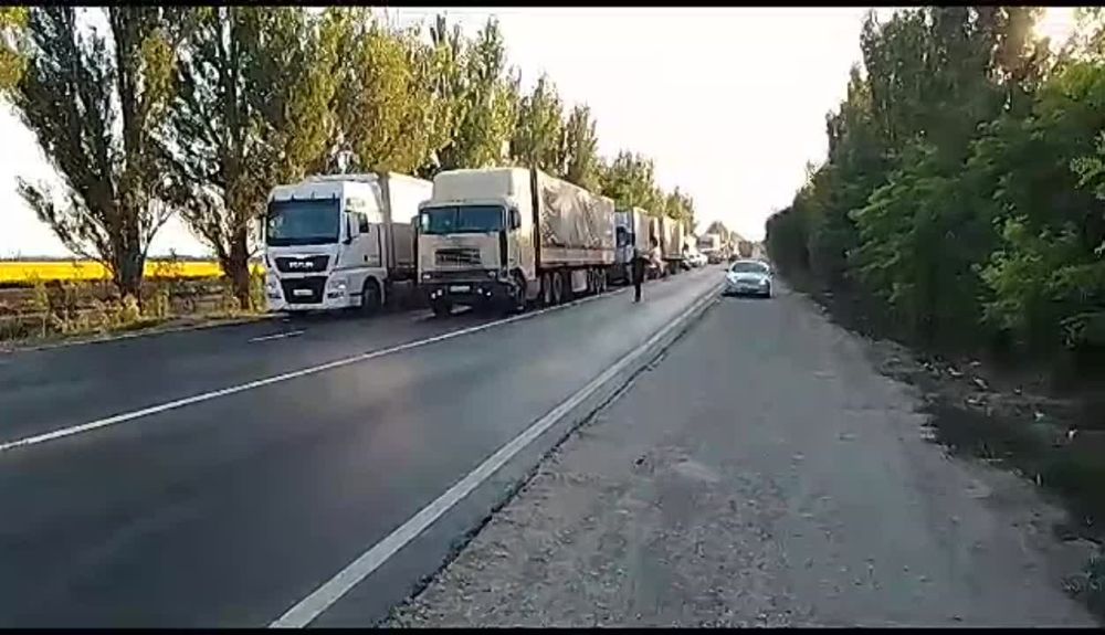 ��� ��Ѩ��-����������: ����������� ���������� �� 03.08.2023
