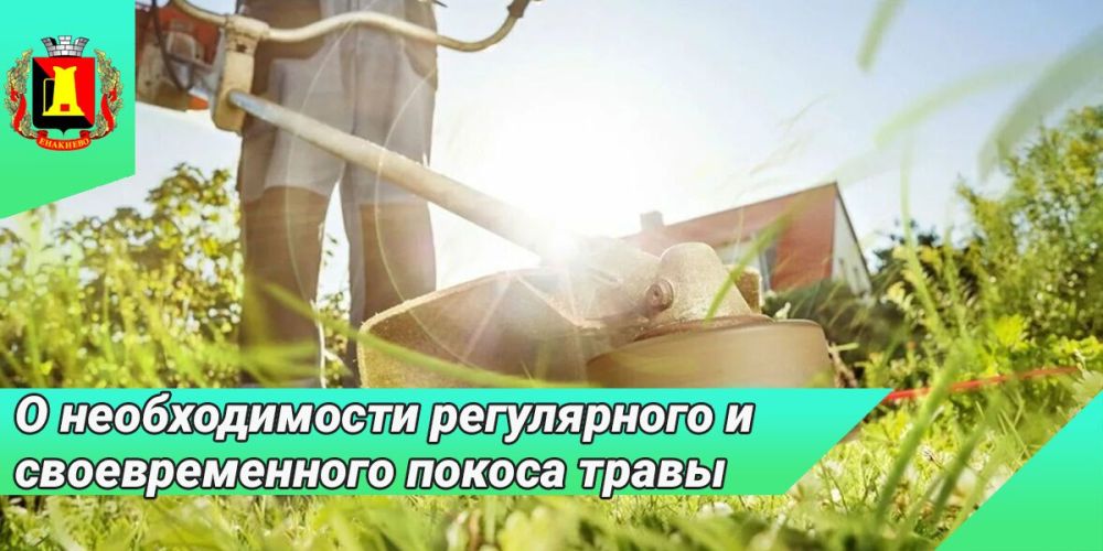 ���������� � ������������� ����������� � �������������� ������ �����