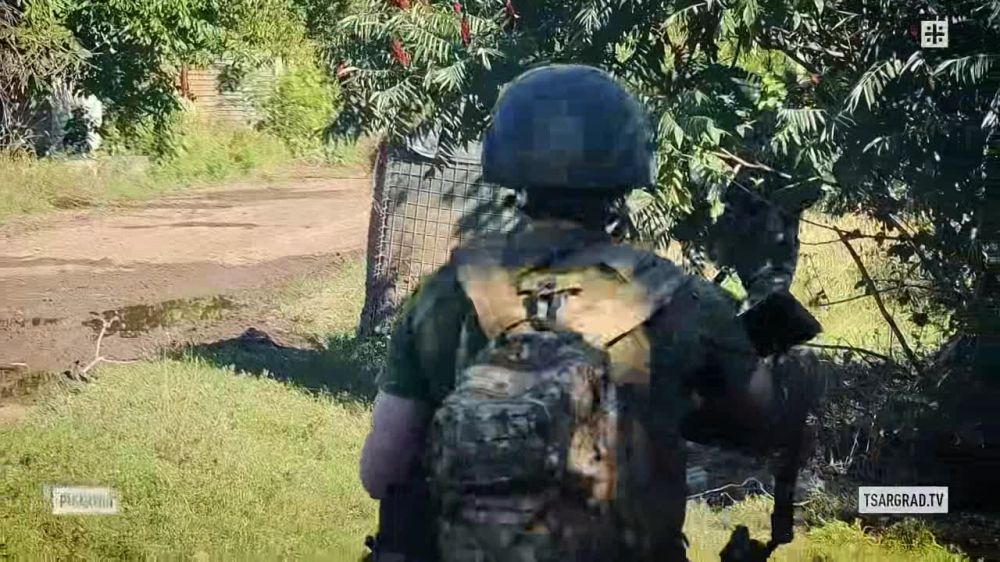 “Лис” сообщает: Враг группируется – 40 тысяч наёмников и националистов