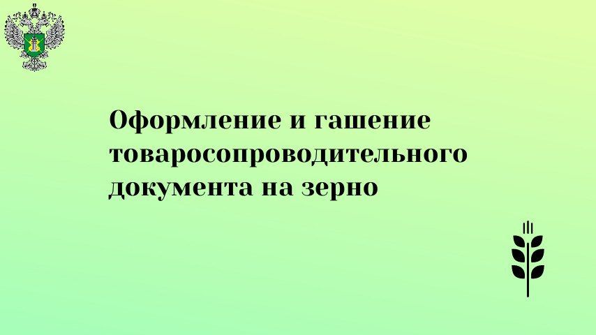 #�����