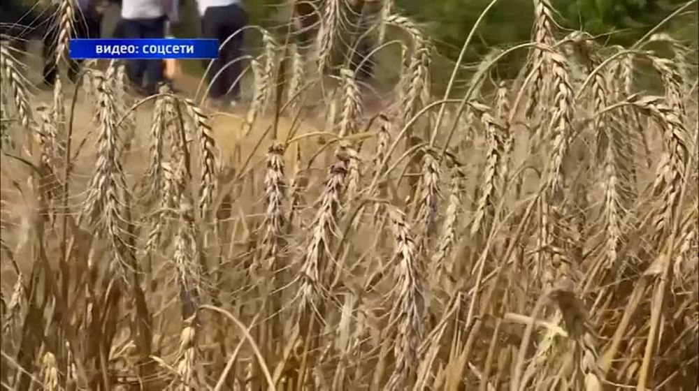 ��������� �������� �� ����� � ����� �������