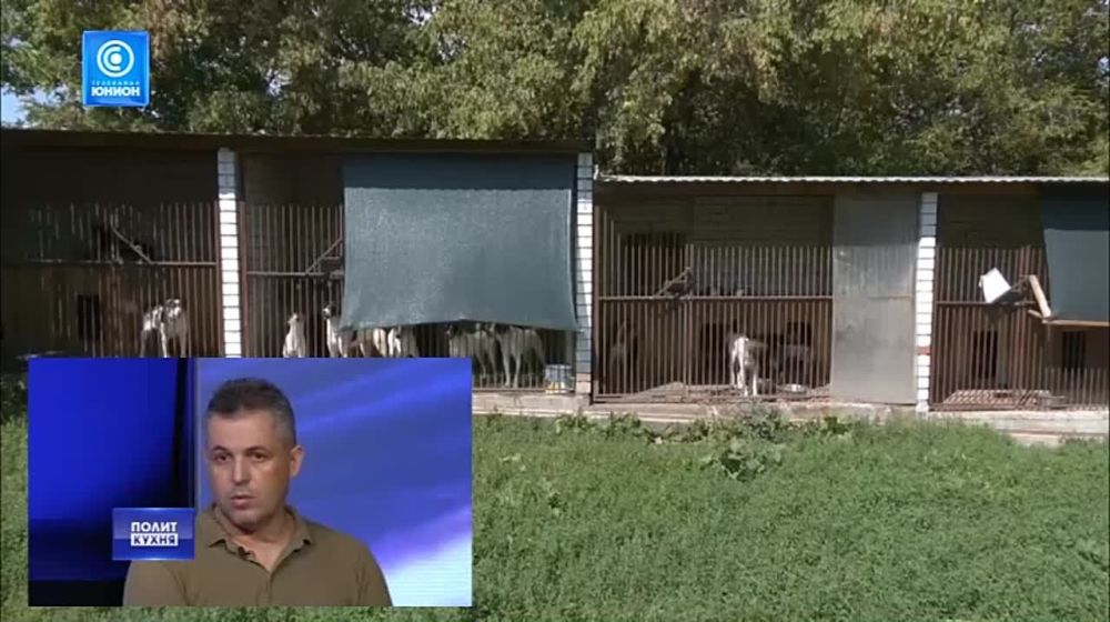 ������� ���������� ������ ����� ����� �������, ��������� �������� �� ����� ������, � ������ �������� � �������� ������ �������� ����� � �������������� �������