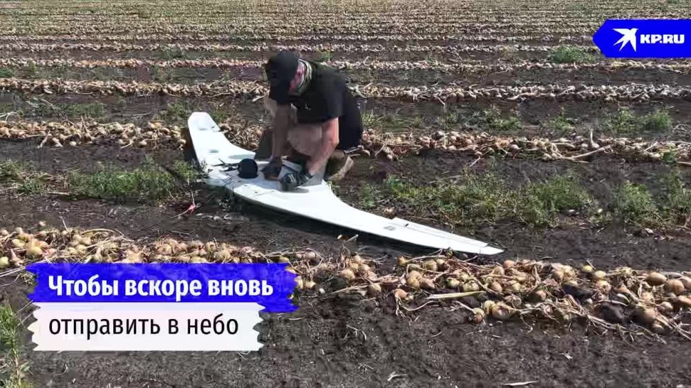 �� ������ ������� ������ ������ �����: ��� �������� ��������� ���������� ����