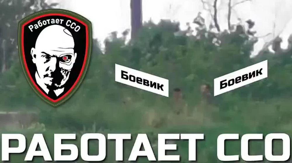 Виталий Киселев: Кадры снайперской работы от @ssomgb